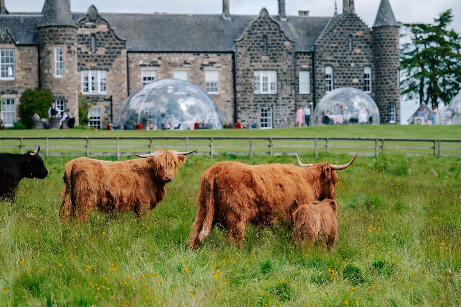 Meldrum House Hotel Golf And Country Estate Oldmeldrum Εξωτερικό φωτογραφία